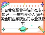 烟台黄金职业学院什么专业最好，一年招多少人(烟台黄金职业学院热门专业及招生)