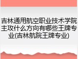 吉林通用航空职业技术学院主攻什么方向有哪些王牌专业(吉林航院王牌专业)