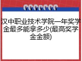 汉中职业技术学院一年奖学金最多能拿多少(最高奖学金金额)