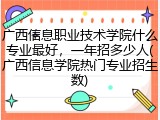 广西信息职业技术学院什么专业最好，一年招多少人(广西信息学院热门专业招生数)