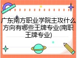 广东南方职业学院主攻什么方向有哪些王牌专业(南职王牌专业)