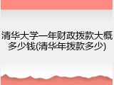 清华大学一年财政拨款大概多少钱(清华年拨款多少)