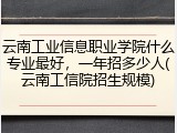 云南工业信息职业学院什么专业最好，一年招多少人(云南工信院招生规模)