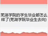 芜湖学院的学生毕业都怎么样了(芜湖学院毕业生去向)