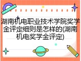 湖南机电职业技术学院奖学金评定细则是怎样的(湖南机电奖学金评定)