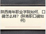 陕西青年职业学院如何，口碑怎么样？(陕青职口碑如何)