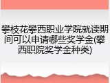 攀枝花攀西职业学院就读期间可以申请哪些奖学金(攀西职院奖学金种类)