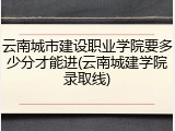 云南城市建设职业学院要多少分才能进(云南城建学院录取线)