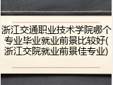 浙江交通职业技术学院哪个专业毕业就业前景比较好(浙江交院就业前景佳专业)