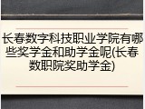 长春数字科技职业学院有哪些奖学金和助学金呢(长春数职院奖助学金)
