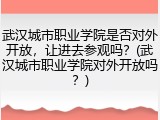 武汉城市职业学院是否对外开放，让进去参观吗？(武汉城市职业学院对外开放吗？)