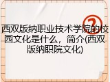 西双版纳职业技术学院的校园文化是什么，简介(西双版纳职院文化)