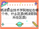 杨凌职业技术学院地址在哪个市，什么区县(杨凌职院所在区县)