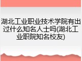 湖北工业职业技术学院有出过什么知名人士吗(湖北工业职院知名校友)