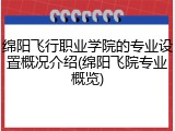 绵阳飞行职业学院的专业设置概况介绍(绵阳飞院专业概览)