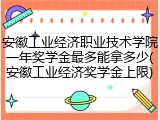 安徽工业经济职业技术学院一年奖学金最多能拿多少(安徽工业经济奖学金上限)