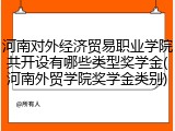 河南对外经济贸易职业学院共开设有哪些类型奖学金(河南外贸学院奖学金类别)