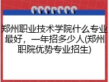 郑州职业技术学院什么专业最好，一年招多少人(郑州职院优势专业招生)