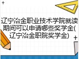 辽宁冶金职业技术学院就读期间可以申请哪些奖学金(辽宁冶金职院奖学金)