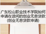 广东松山职业技术学院如何申请在读间的创业无息贷款(创业无息贷款申请)