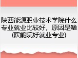 陕西能源职业技术学院什么专业就业比较好，原因是啥(陕能院好就业专业)