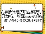 安徽涉外经济职业学院对外开放吗，能否进去参观(安徽涉外经济参观开放吗)