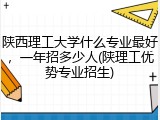 陕西理工大学什么专业最好，一年招多少人(陕理工优势专业招生)