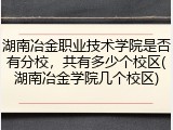 湖南冶金职业技术学院是否有分校，共有多少个校区(湖南冶金学院几个校区)