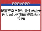 新疆警察学院毕业生就业大致去向如何(新疆警院就业去向)
