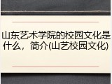 山东艺术学院的校园文化是什么，简介(山艺校园文化)