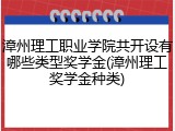 漳州理工职业学院共开设有哪些类型奖学金(漳州理工奖学金种类)