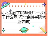 河北金融学院毕业后一般能干什么呢(河北金融学院就业去向)
