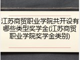江苏商贸职业学院共开设有哪些类型奖学金(江苏商贸职业学院奖学金类别)