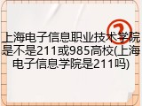 上海电子信息职业技术学院是不是211或985高校(上海电子信息学院是211吗)