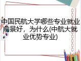 中国民航大学哪些专业就业前景好，为什么(中航大就业优势专业)