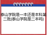 泰山学院是一本还是本科第二批(泰山学院是二本吗)