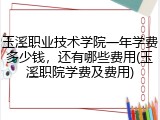 玉溪职业技术学院一年学费多少钱，还有哪些费用(玉溪职院学费及费用)