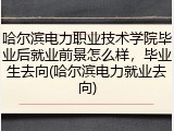 哈尔滨电力职业技术学院毕业后就业前景怎么样，毕业生去向(哈尔滨电力就业去向)
