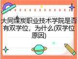 大同煤炭职业技术学院是否有双学位，为什么(双学位原因)