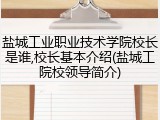 盐城工业职业技术学院校长是谁,校长基本介绍(盐城工院校领导简介)
