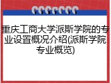 重庆工商大学派斯学院的专业设置概况介绍(派斯学院专业概览)