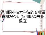 铜川职业技术学院的专业设置概况介绍(铜川职院专业概览)