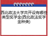 西北政法大学共开设有哪些类型奖学金(西北政法奖学金种类)