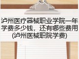 泸州医疗器械职业学院一年学费多少钱，还有哪些费用(泸州医械职院学费)