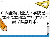 广西金融职业技术学院是一本还是本科第二批(广西金融学院是几本)