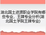 湖北国土资源职业学院有哪些专业，王牌专业分析(湖北国土学院王牌专业)