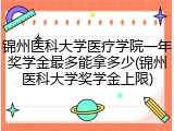 锦州医科大学医疗学院一年奖学金最多能拿多少(锦州医科大学奖学金上限)