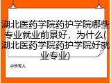 湖北医药学院药护学院哪些专业就业前景好，为什么(湖北医药学院药护学院好就业专业)