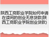 陕西工商职业学院如何申请在读间的创业无息贷款(陕西工商职业学院创业贷款)