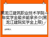 黑龙江建筑职业技术学院一年奖学金最多能拿多少(黑龙江建院奖学金上限)